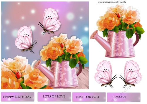 Roses & Butterflies