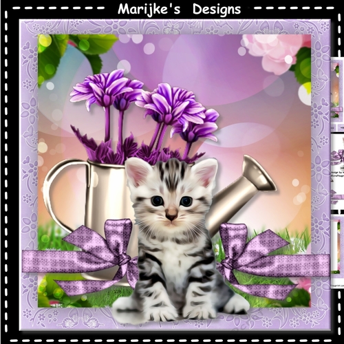 Birthday Kitten 7x7 Mini Kit