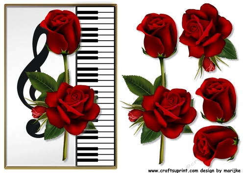 A5 Piano Red Roses