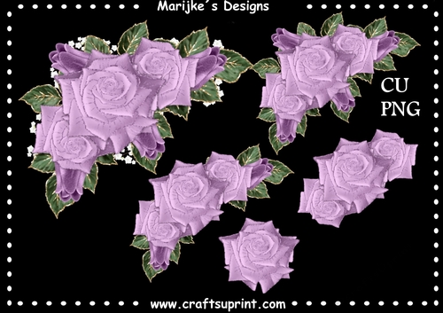 CU Purple Vignette