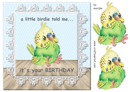 Quick Card Little Birdie