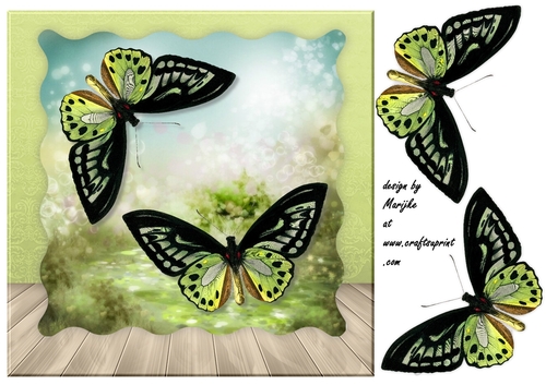 Quick Male Card Butterflies