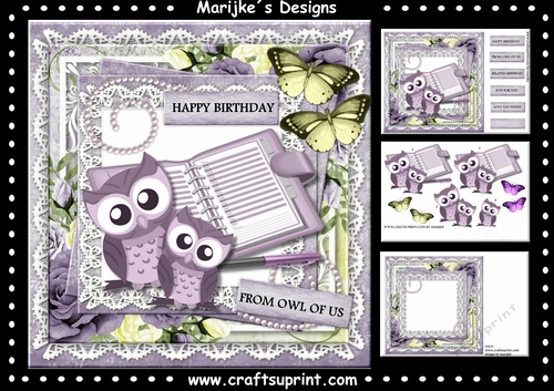 Cute Birthday  Owls Mini Kit