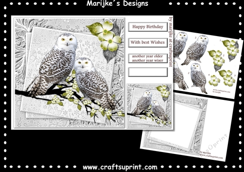 Male card Wise Owls