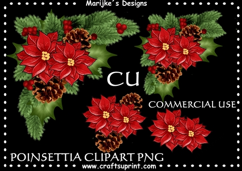 Christmas  Poinsettias CU 