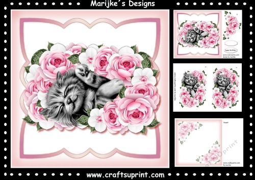 Sleeping Kitty Birthday Girl Mini Kit