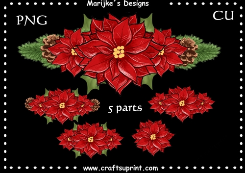 CU DR Christmas Poinsettias