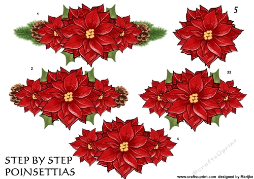 Step By Step Christmas Poinsettias