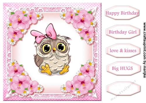 Cute Owl Birthday Girl