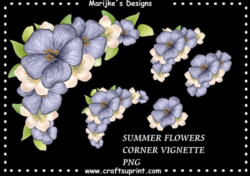 CU DR Summer Flowers