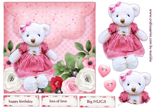 Envelop  Card  Birthday Girl Teddie