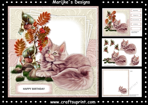 Birthday Kitten Mini Kit