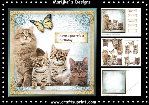 Purrrfect family Mini Kit