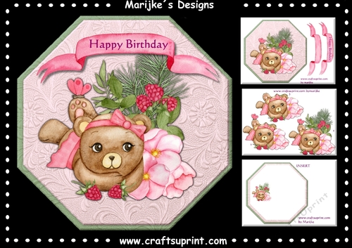 A5   Cute Teddie Birthday Girl Mini Kit