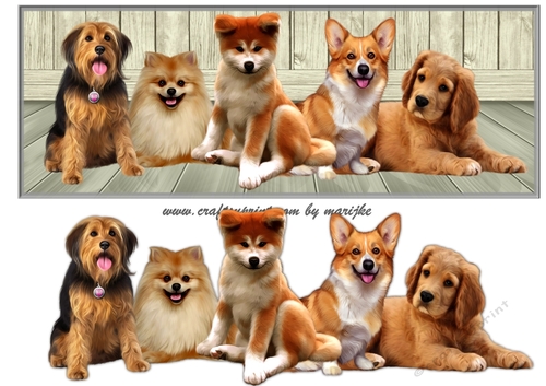 Large DL  Dog Family