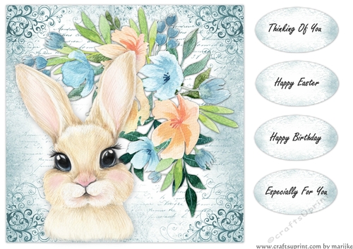 Sweet Bunny 1