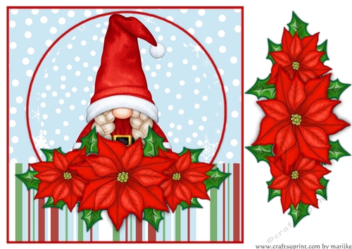 Cute Girl  Gnome