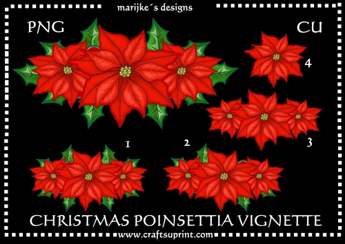 CU  Chistmas Poinsettias Vignette