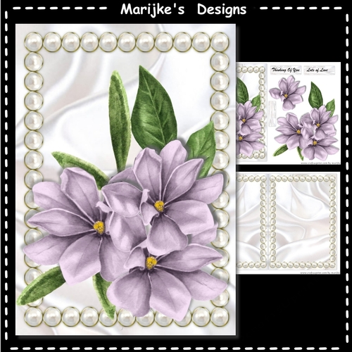 A5 Pearl Frame Gorgeous Magnolias