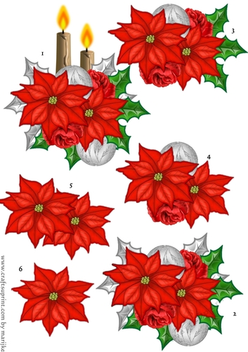 Step By Step Christmas Poinsettias