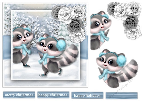 Skating Raccoons
