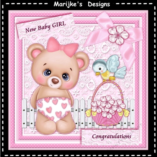 New Baby Girl Teddie Mini Kit