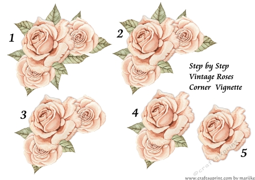 Step By Step Vintage Roses 1