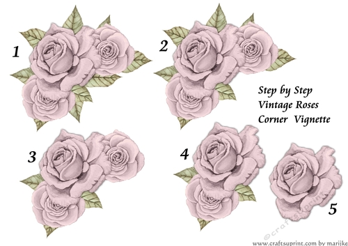 Step By Step Vintage Roses 4
