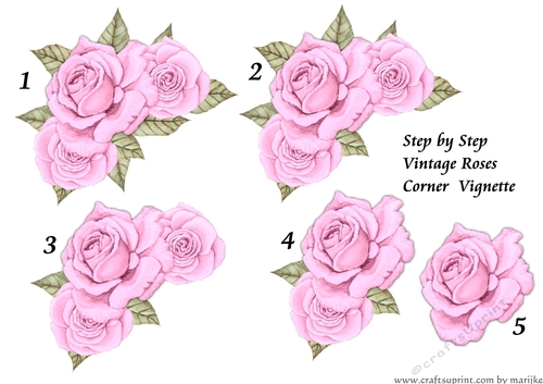 Step By Step Vintage Roses 6