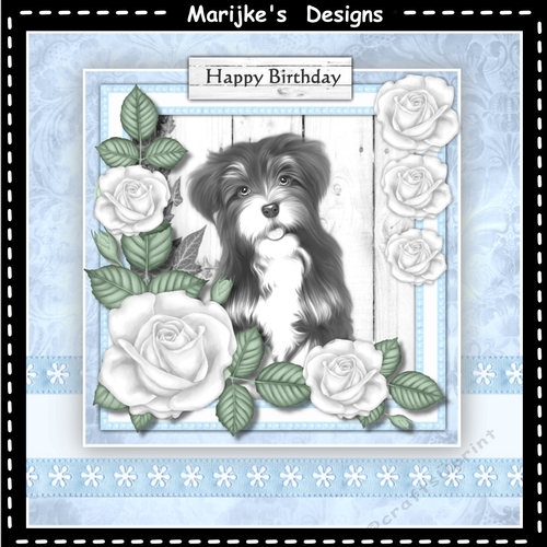 Birthday Dog Mini Kit