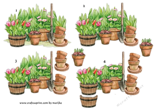 Step By Step   Spring Garden