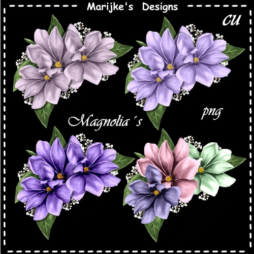 Magnolia Blossoms CU