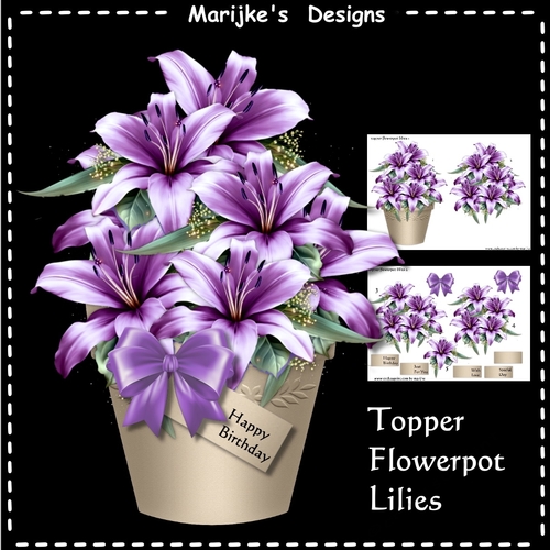 Topper Flowerpot Lilies Mini Kit