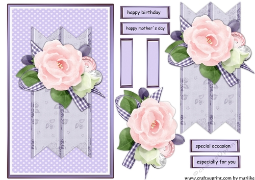 A5   Wonderful roses