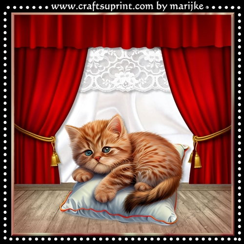 red Birthday Kitten Mini Kit