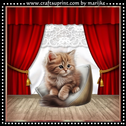 Long Hair Birthday Kitten Mini Kit