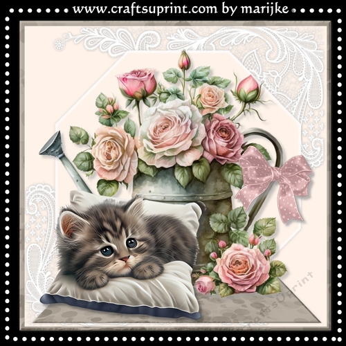 Vintage Kitten & Wateringcan Mini Kit