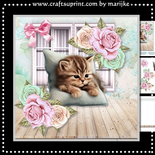 Cute Kitten & Roses Mini Kit
