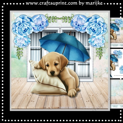 Cute Puppy & Roses Mini Kit
