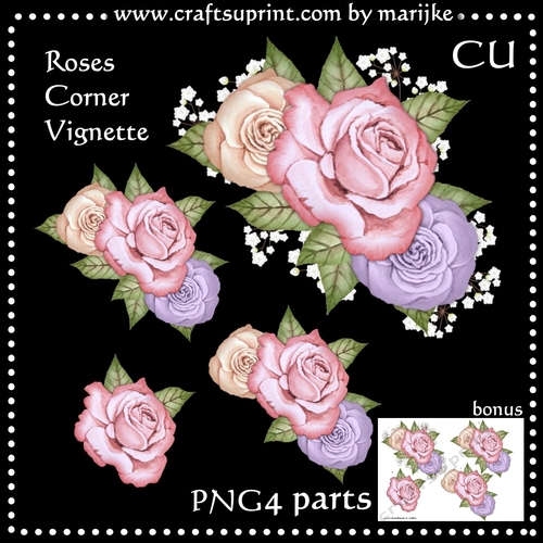 CU Roses Vignette