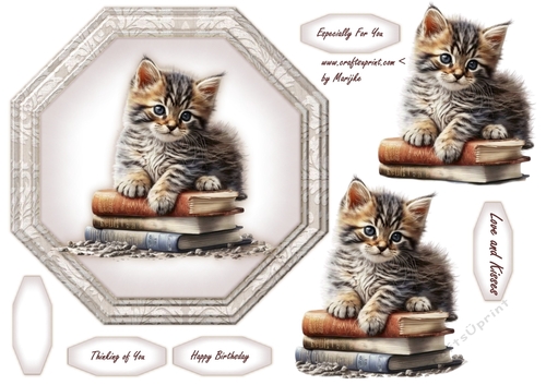 Octagon  Vintage Kitten