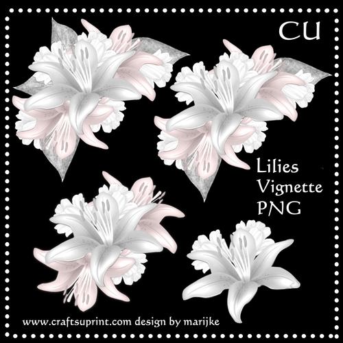 CU DR  Lilies Vignette