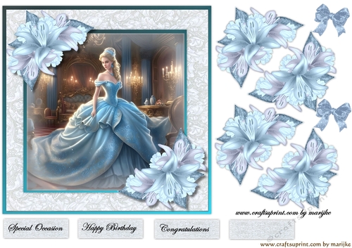 Cinderella Quick Card
