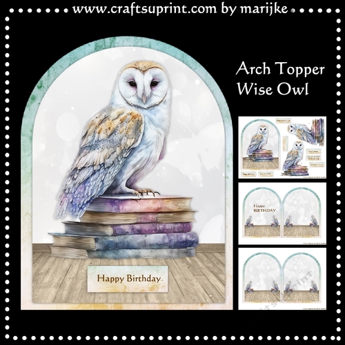 Arch Topper Wise Owl Mini Kit