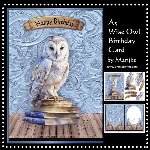 A5 Wise Owl Birthday Card