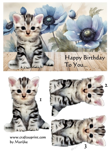 Cute Kitten & Anemones Quick Card