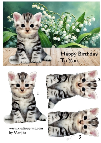 Cute Kitten &Lily of the Valley Quick Card