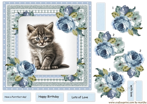 Beautiful Kitten & Vintage Roses