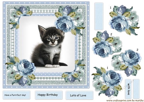 Beautiful Kitten & Vintage Roses 3
