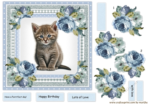 Beautiful Kitten & Vintage Roses 4